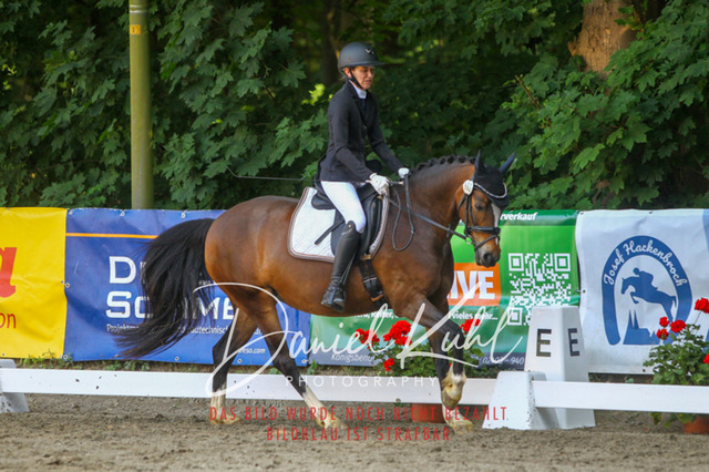 DKP42780 | Turniersportfotografie; Pferdefotografie; Dressurfotografie