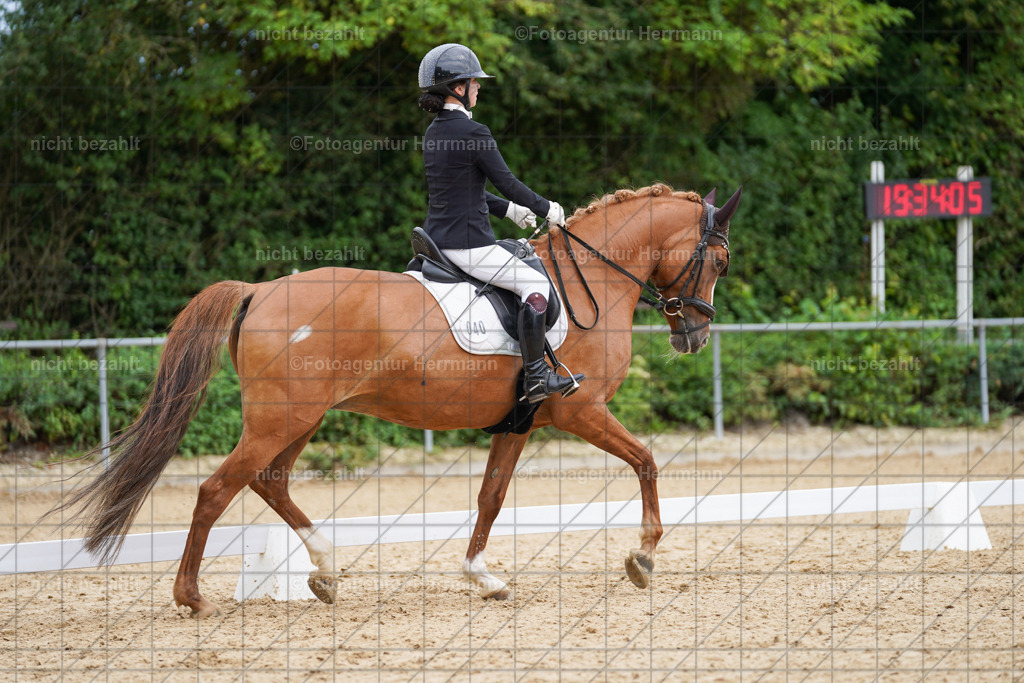 20240825-FAH09977 | Turnierbilder, Reitsportfotos, LAPO, Landesponyturnier, Turnierfotografen Bayern
