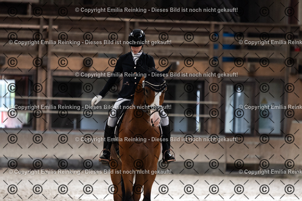 CL5A1384 | Emilia Reinking Fotografie - Realisiert mit Pictrs.com