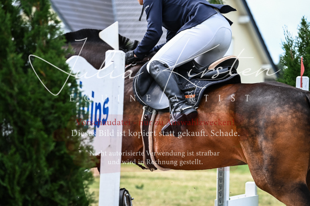 DSC_8264 | Pferde- und Turnierfotografie in Westsachsen. Pferdeportraits, Auftragszeichnungen und intuitive Kunst.