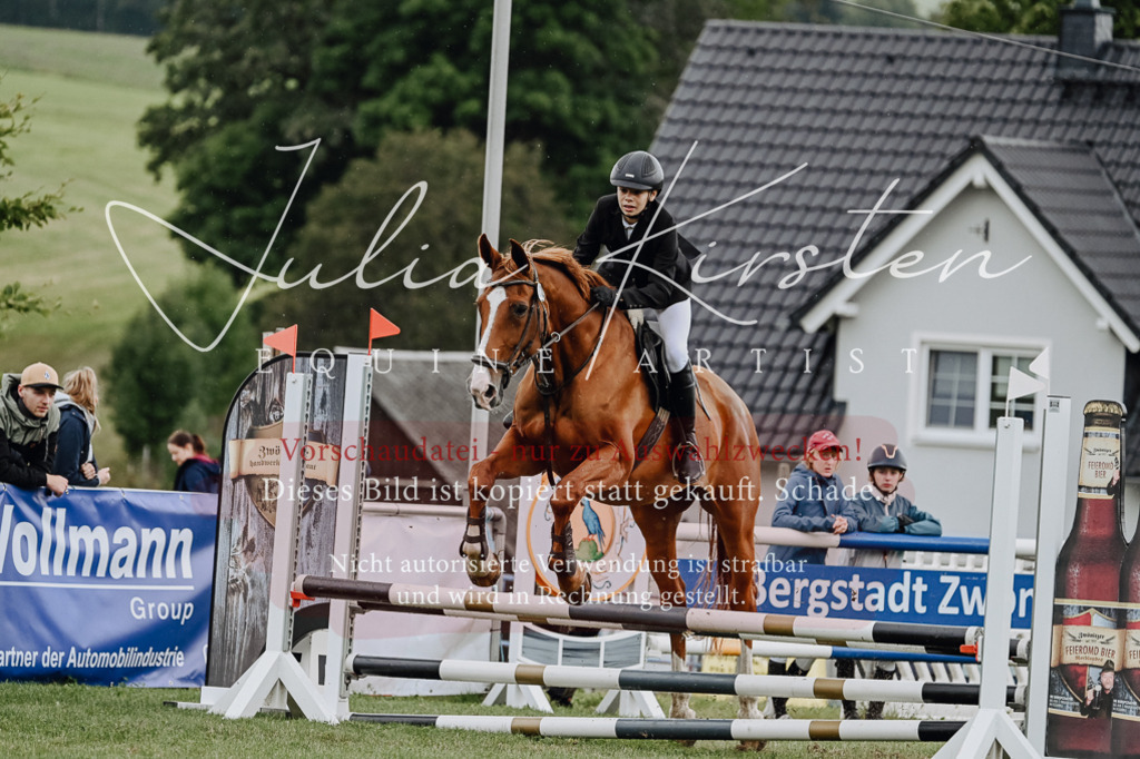 DSC_6853 | Pferde- und Turnierfotografie in Westsachsen. Pferdeportraits, Auftragszeichnungen und intuitive Kunst.