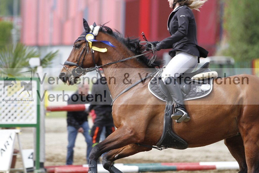 _MG_1846 | equestrian-live-com