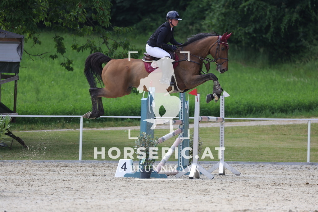0P6A5104 | Willkommen bei Brunnmayr - Design & Fotografie – Ihrem Spezialisten für Reitturniere und Pferdeveranstaltungen in Oberösterreich, Salzburg und Bayern! Seit über 17 Jahren sind wir leidenschaftlich dabei.