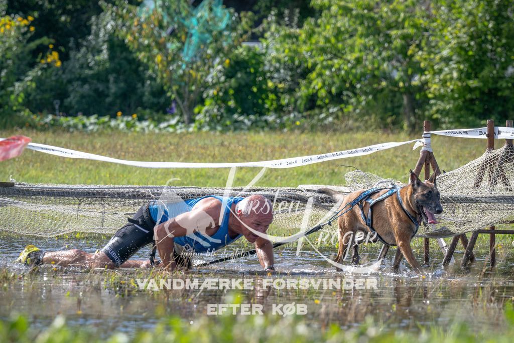 1137_ZZ90576 | kk-dogfotos