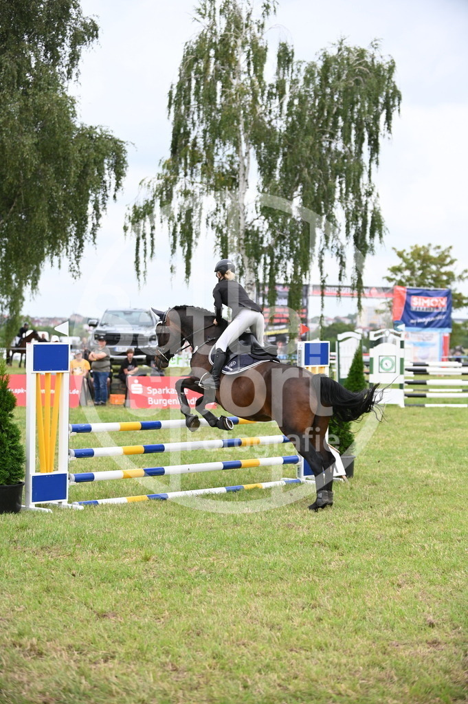 DSC_1165 | sattelsport - Realisiert mit Pictrs.com