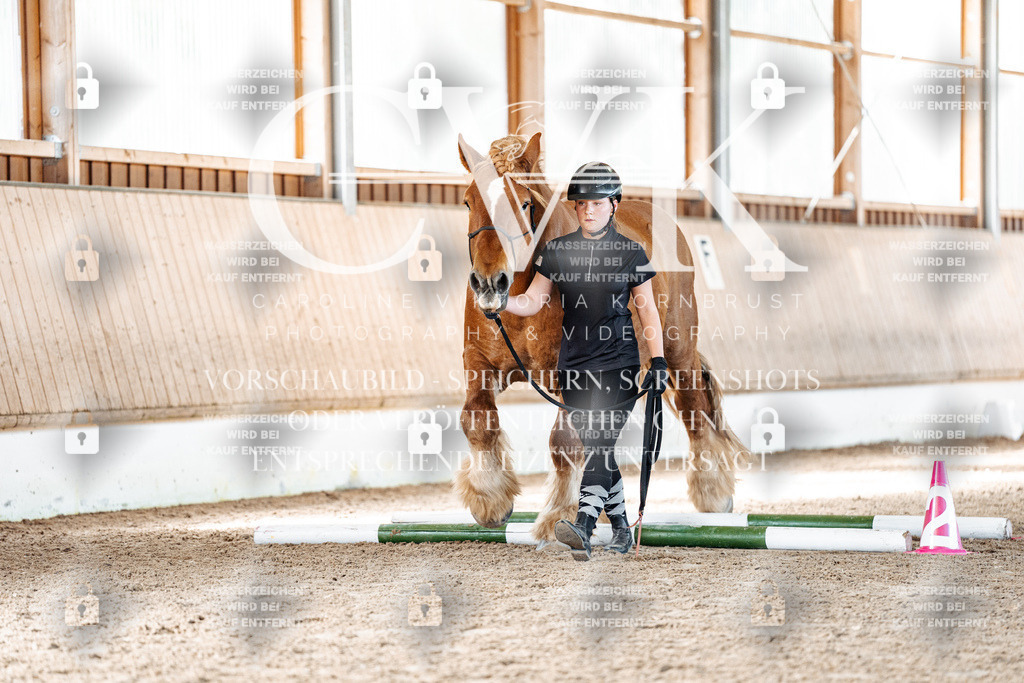 CK906326 | Turnierfotografie Pferdefotografie Trier Rheinland-Pfalz Pferdesport Reitsport Tierfotografie Sportfotografie Pferdevideo Pferdevideografie Equestrianvideography equestrianphotography  - Realisiert mit Pictrs.com
