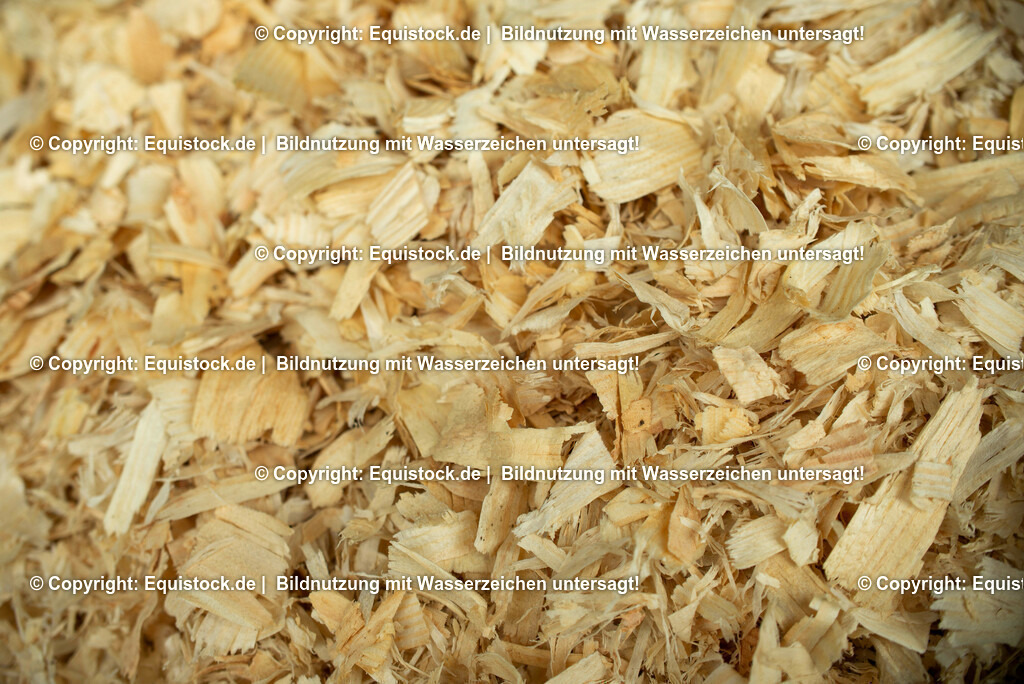 20190409_Rundholz-Span_0001 | Foto: Thomas Hartig