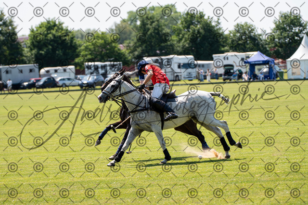 POL_3254 | andre_photographic