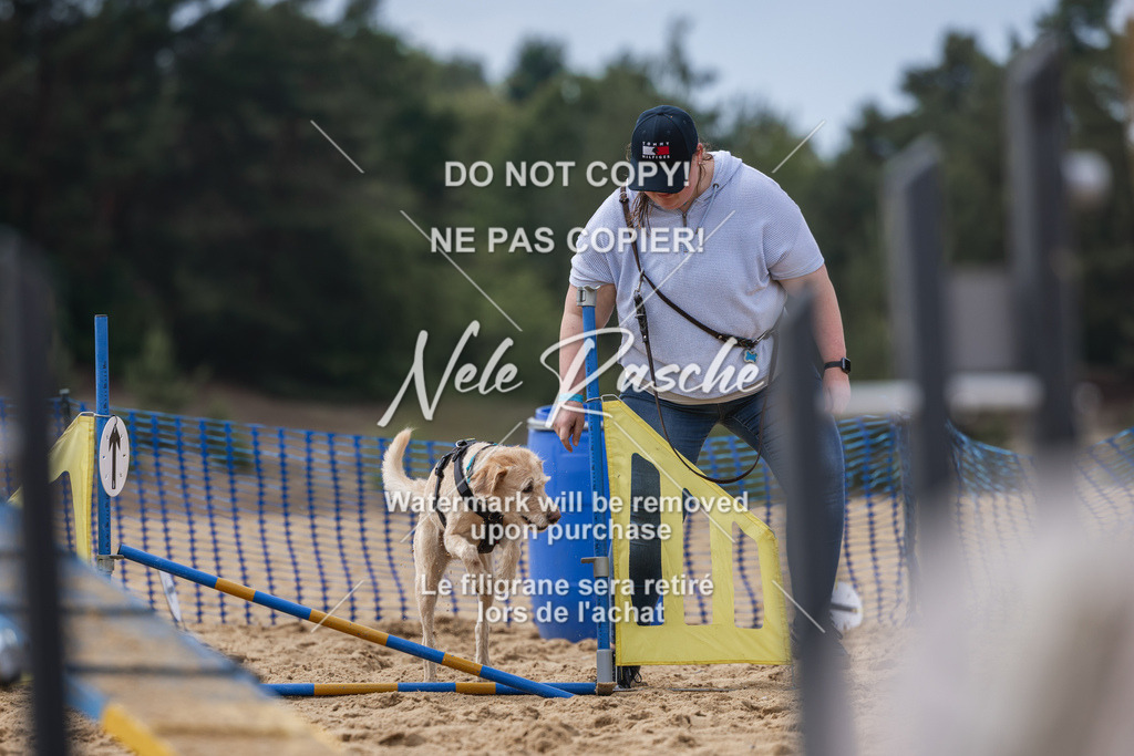 nelerasche_BuHu2026_So1530-Ende_63 | nelerasche