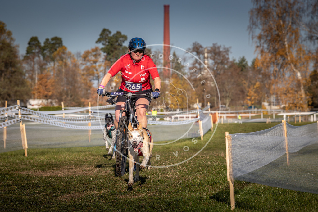 CaniXpix_0L8A5069 | Hundefotografie, Tierfotograf, Pfotenfotografie, Fotoshooting Hund, Hunde Portrait, Hundesport, Hundeportraits, Heideshooting, Hunde, Sportfotograf, Hundefotograf, Turnierhundsport, THS,  - Realisiert mit Pictrs.com
