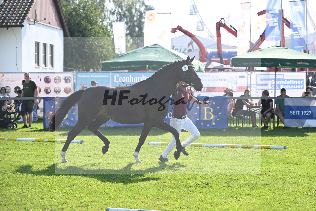 Kat-Nr. 3 Fleur_Hoffmann_34240027 | hf-fotografie - Realisiert mit Pictrs.com