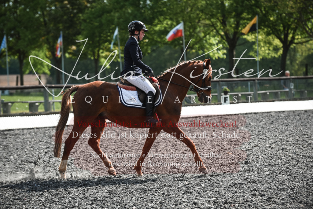 DSC_9029 | Pferde- und Turnierfotografie in Westsachsen. Pferdeportraits, Auftragszeichnungen und intuitive Kunst.