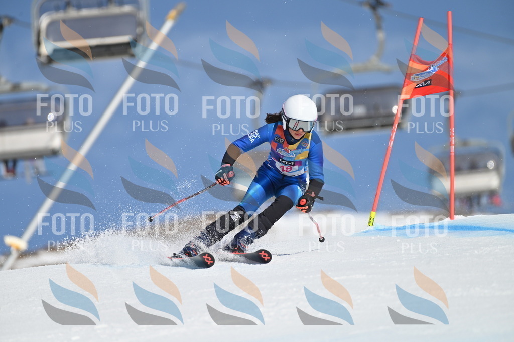 BGV_8498 | holidayphoto