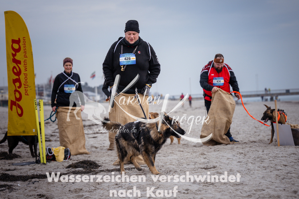1200_ZZ91541 | kk-dogfotos