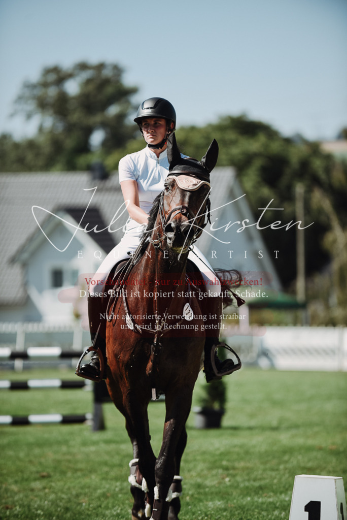 DSC_3229 | Pferde- und Turnierfotografie in Westsachsen. Pferdeportraits, Auftragszeichnungen und intuitive Kunst.