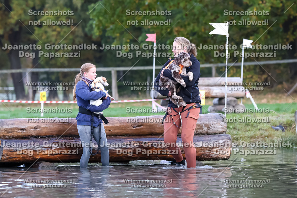 Dog Paparazzi - Strongdog 10-25-6489 | Dog Paparazzi Jeanette Grottendiek Fotografie & Videografie - Realisiert mit Pictrs.com