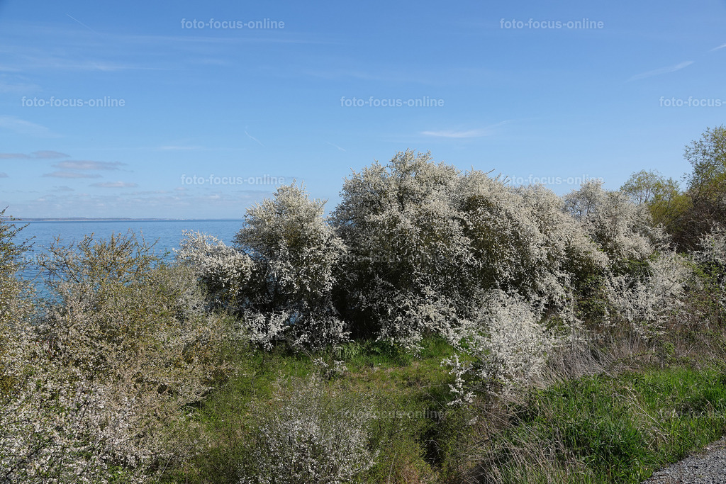 15 | Landscape photography, spectacular waves, Atlantic Ocean, Baltic Sea