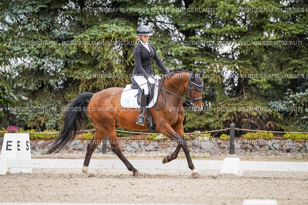 DSC02651 | Pferdegrafie