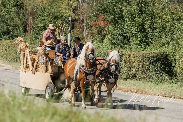 7V6A2028 | natalia-nirschl-photography