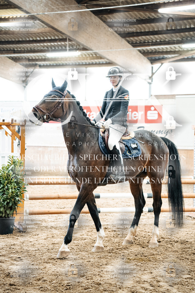 CK702888 | Turnierfotografie Pferdefotografie Trier Rheinland-Pfalz Pferdesport Reitsport Tierfotografie Sportfotografie Pferdevideo Pferdevideografie Equestrianvideography equestrianphotography  - Realized with Pictrs.com