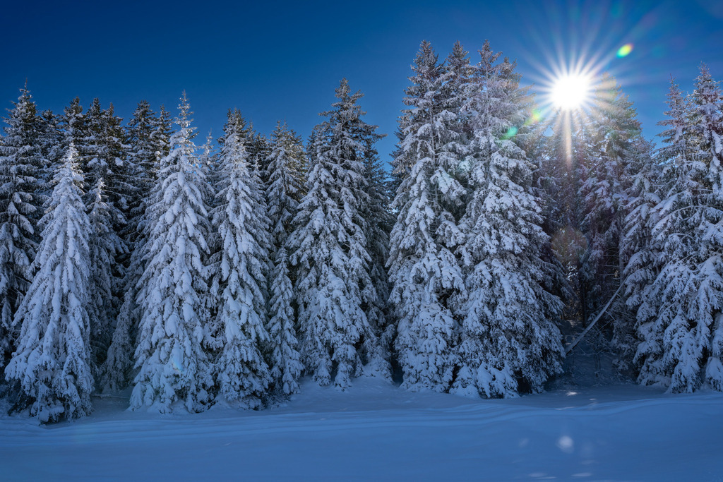 2021_11_06 BRM03632 | bridgeman - Realisiert mit Pictrs.com