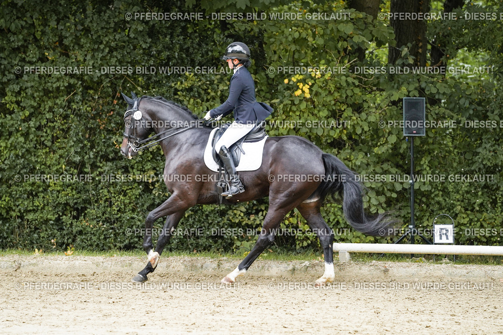 DSC07072 | Pferdegrafie