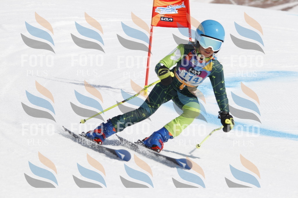 _U3G0588 | holidayphoto