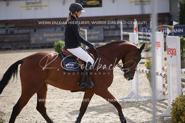 1J2A8926Pheline Ahlmann_ Ogano PB_ Kn816_ Havekost | Foto- und Videografie für alles rund ums Pferd. Hochwertige Bilder und Videos vom Spring- und Dressurreiten, Voltigieren & mehr. Jetzt aktuelle Veranstaltungen und Preise im Shop ansehen. - Realisiert mit Pictrs.com