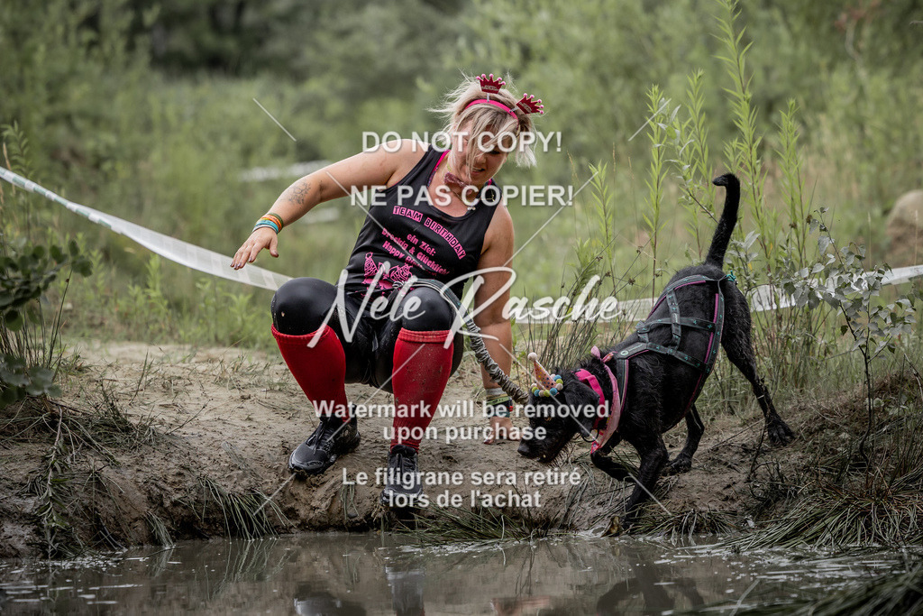 nelerasche_so0800-0930_395 | nelerasche