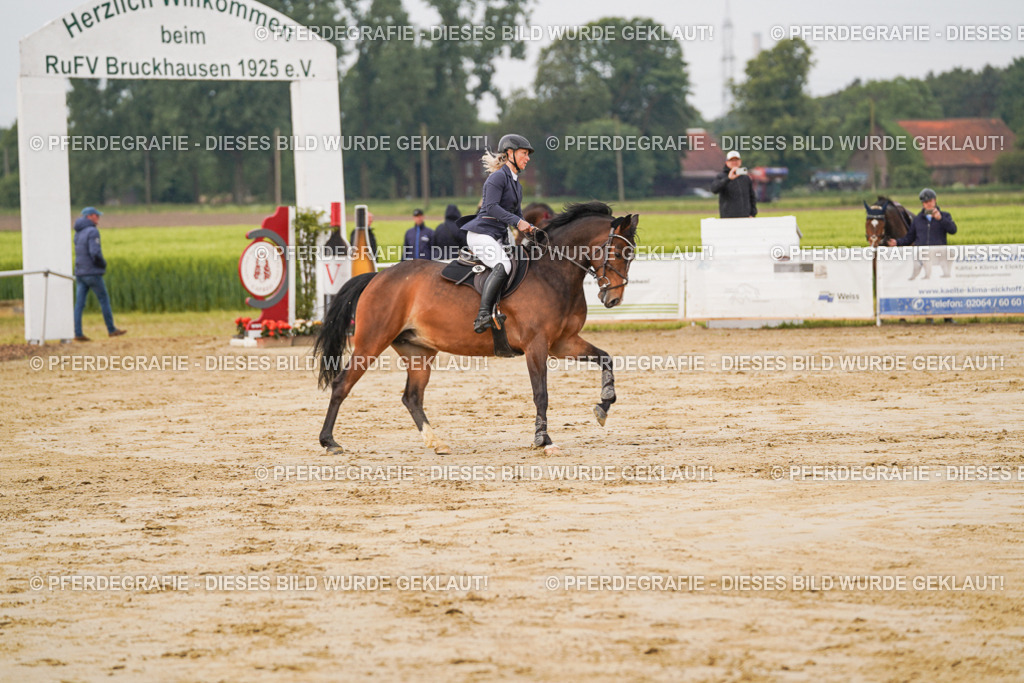 DSC00245 | Pferdegrafie