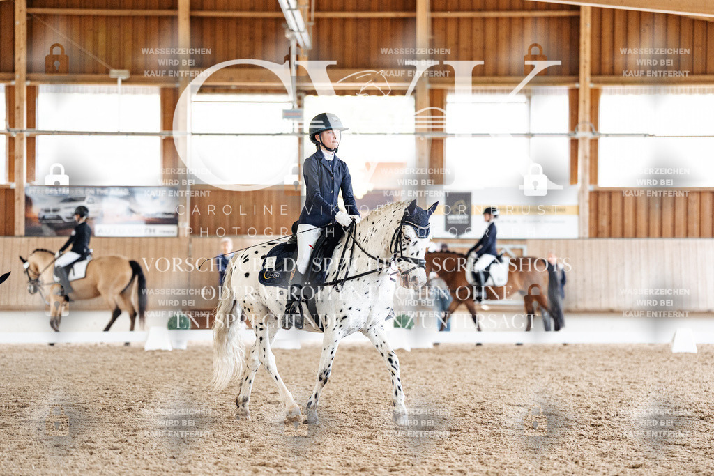 CK901371 | Turnierfotografie Pferdefotografie Trier Rheinland-Pfalz Pferdesport Reitsport Tierfotografie Sportfotografie Pferdevideo Pferdevideografie Equestrianvideography equestrianphotography  - Realisiert mit Pictrs.com