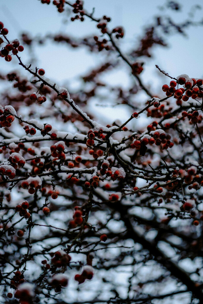 DSC07283 | Print Shop 
Fotografie
Posterdruck
Landschaftsfotografie
Reisefotografie
Naturfotografie
Anja Brandes Poster 
Anja Brandes Photography 
Prints for Walls 
Printable 
Posterdrucke
Poster aesthetic 
Poster Wall 
Poster Prints 
Poster schwarz weiß - Realisiert mit Pictrs.com