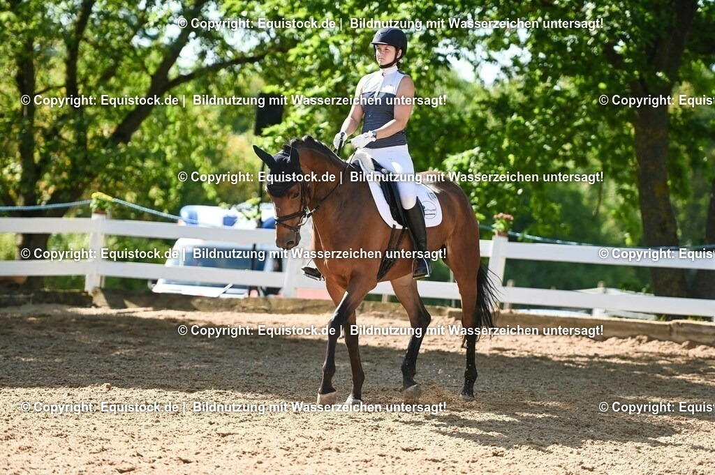 20230715_06_Dressurpferdeprfg. Kl.A_0386 | equistock