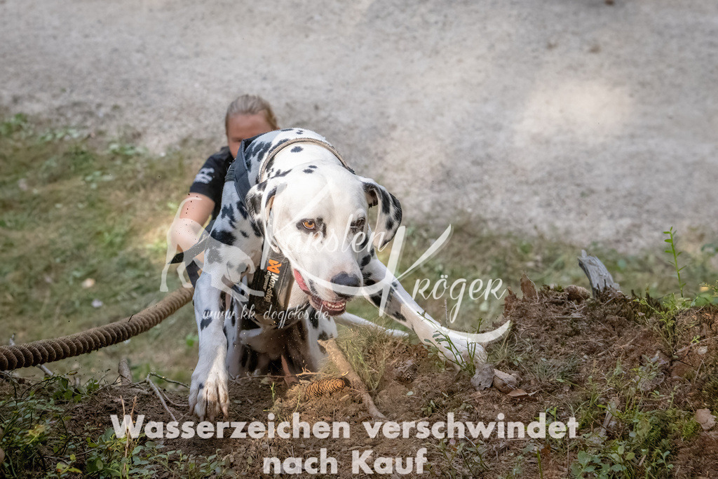 1046_ZZ92279 | kk-dogfotos