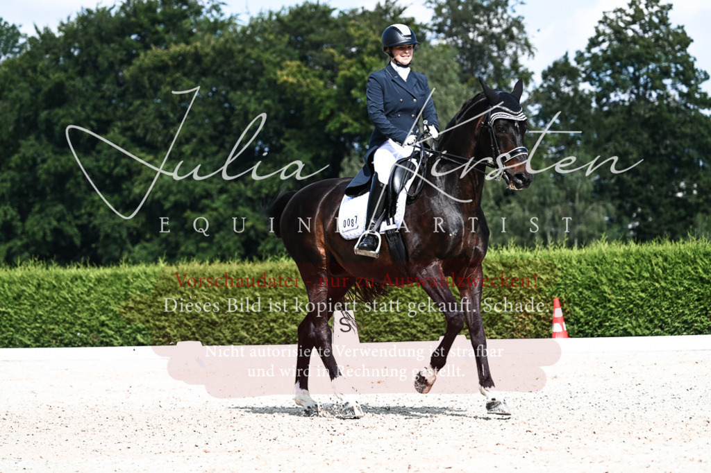 DSC_3317 | Pferde- und Turnierfotografie in Westsachsen. Pferdeportraits, Auftragszeichnungen und intuitive Kunst.