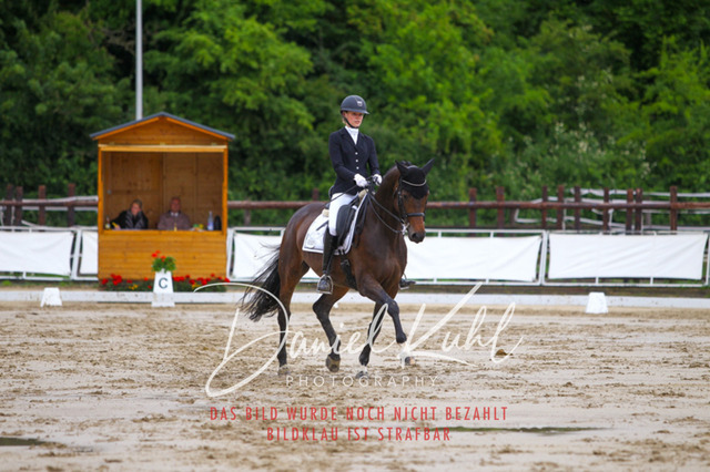 DKP46808 | Turniersportfotografie; Pferdefotografie; Dressurfotografie