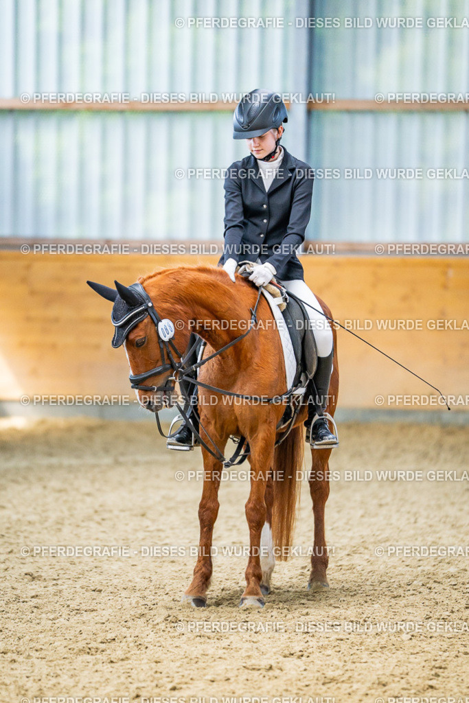 DSC03812 | Pferdegrafie