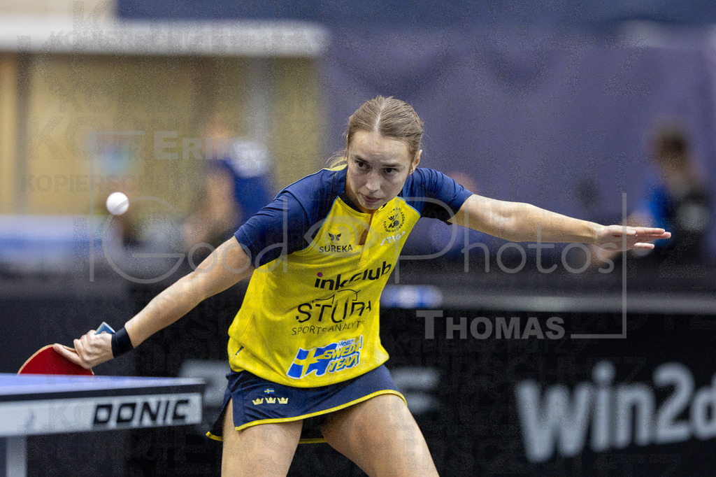 European_Championships_2024-10-17_143 | good-photos - Realisiert mit Pictrs.com