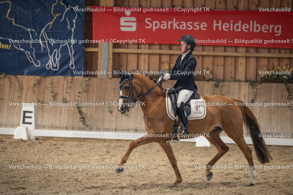 _D5A6146 | Emotionale Pferde- & People-Fotografie rund um Heidelberg, Leimen & Umgebung. Natürliche Fotos von Pferd, Mensch & Familie. Jetzt Termin sichern!