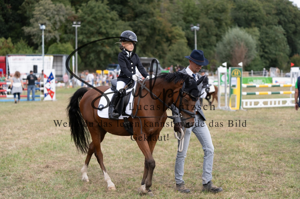 A7V08911 | Pferdefotograf