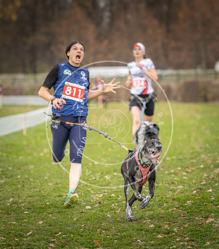 CaniXpix_DV3A6320 | Hundefotografie, Tierfotograf, Pfotenfotografie, Fotoshooting Hund, Hunde Portrait, Hundesport, Hundeportraits, Heideshooting, Hunde, Sportfotograf, Hundefotograf, Turnierhundsport, THS,  - Realisiert mit Pictrs.com