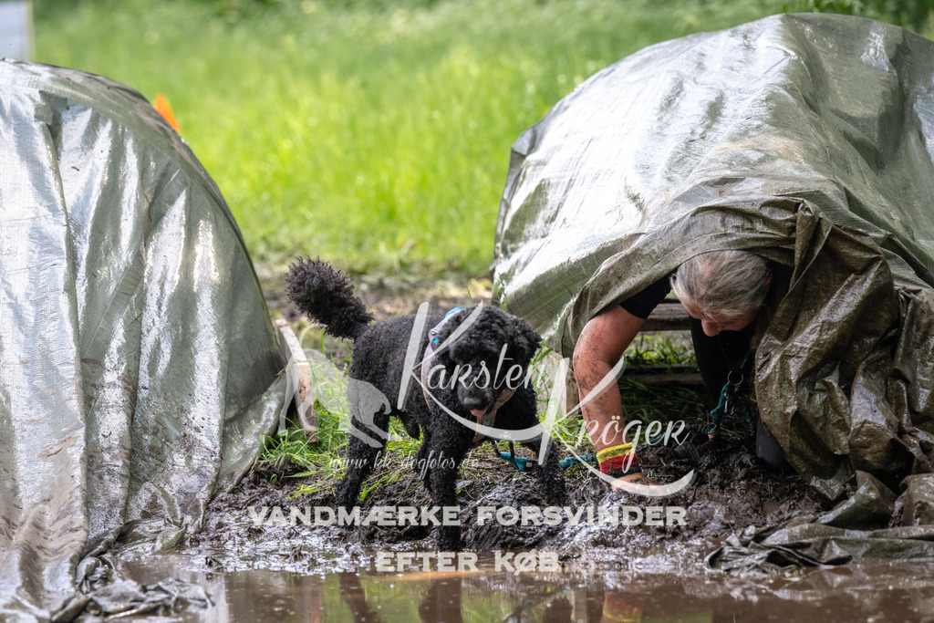 1222_ZZ91973 | kk-dogfotos