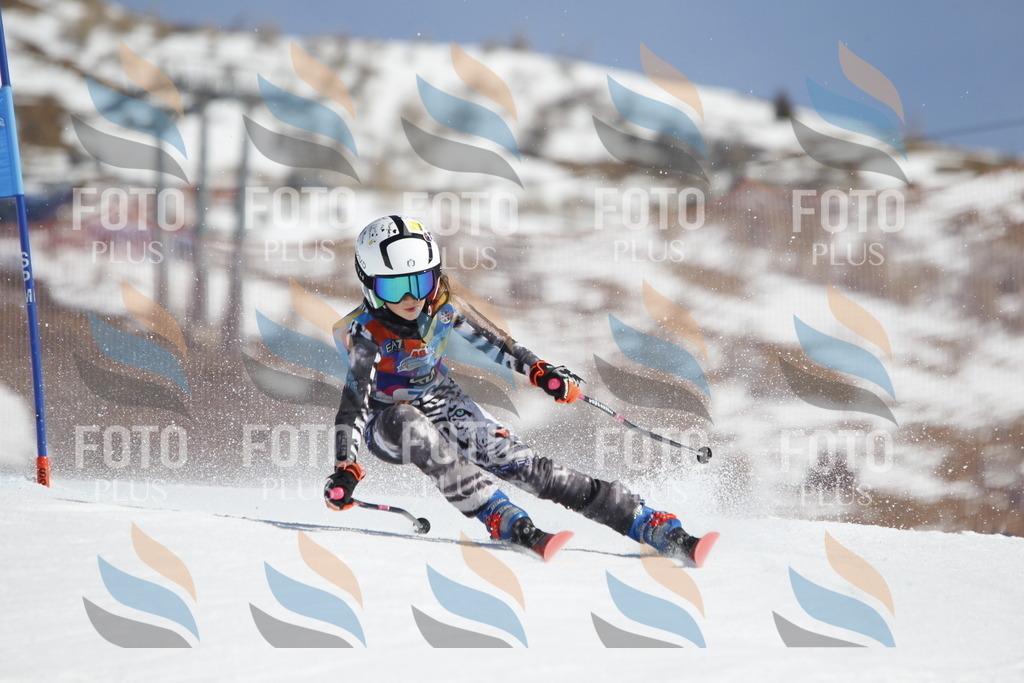 _U3G9977 | holidayphoto