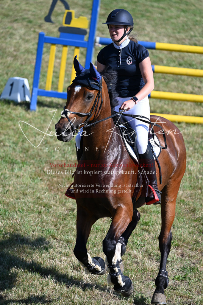 DSC_2084 | Pferde- und Turnierfotografie in Westsachsen. Pferdeportraits, Auftragszeichnungen und intuitive Kunst.