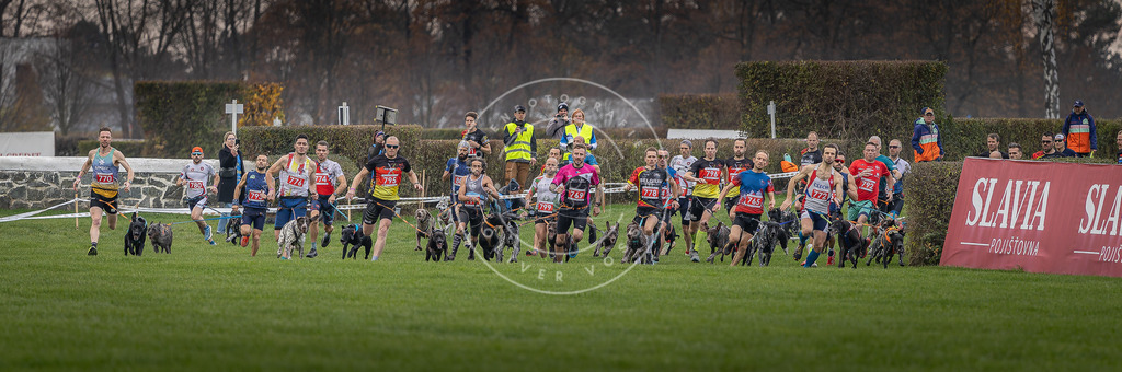 CaniXpix_DV3A5798 | Hundefotografie, Tierfotograf, Pfotenfotografie, Fotoshooting Hund, Hunde Portrait, Hundesport, Hundeportraits, Heideshooting, Hunde, Sportfotograf, Hundefotograf, Turnierhundsport, THS,  - Realisiert mit Pictrs.com