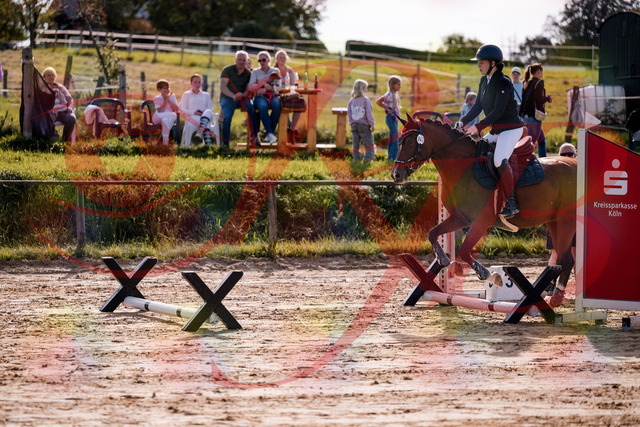 2026_10_03_Siefer-Hof_145705_Z81_38415918 | Professionelle Reitsport-, Turnier- und Eventfotografie von Robert Broda. Galerien mit ausgewählten und bearbeiteten Bildern direkt online ansehen und bestellen.
