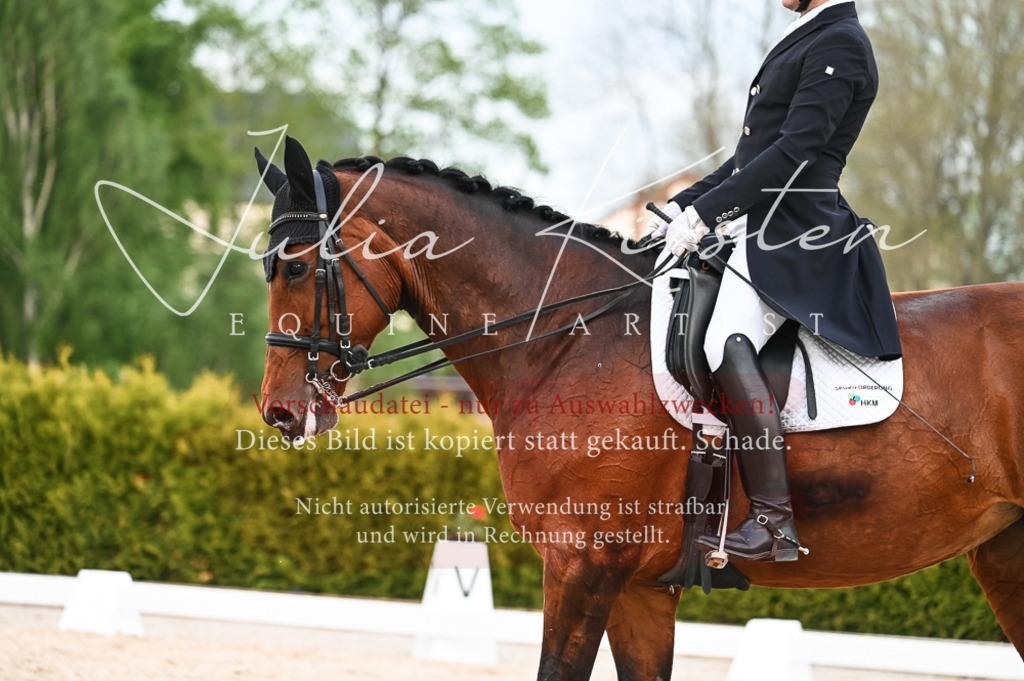 20230513_JK-Röhrsdorf-13-162 | Pferde- und Turnierfotografie in Westsachsen. Pferdeportraits, Auftragszeichnungen und intuitive Kunst.