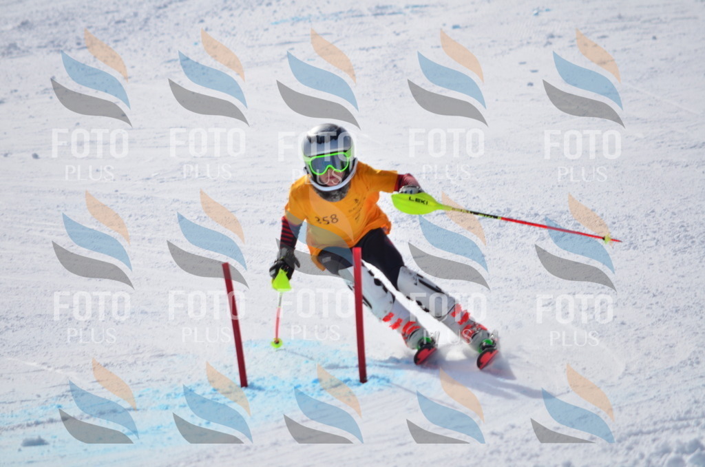 C9826 | holidayphoto