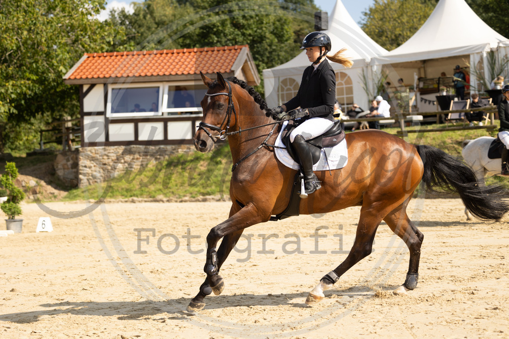 994A8350 | sabrinanicolaifotografie - Realisiert mit Pictrs.com