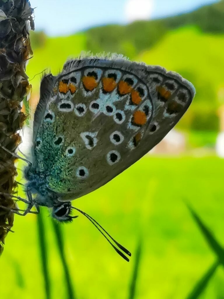 PSX_20220911_231944 | mtkfoto_ - Realisiert mit Pictrs.com